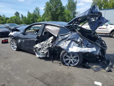 2024 TESLA MODEL Y, фото 2, лот 11372894