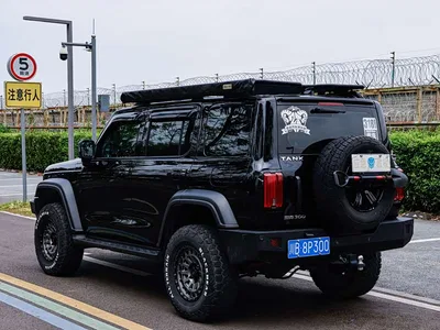 2021 Tank 300 Off-road Version 2.0T Conqueror, фото 4, лот 11006434