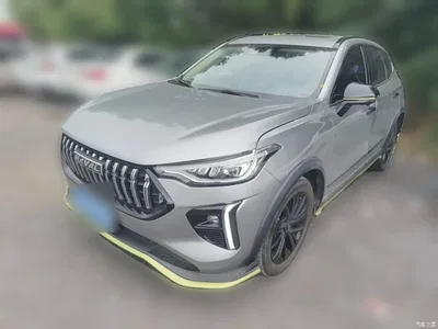2021 Haval Chitu Turbo Edition 1.5T Golden Rabbit, фото 3, лот 11137166