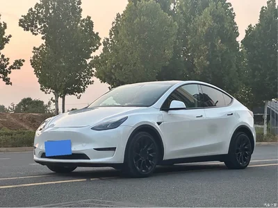 2021 Tesla Model Y Model Long Range AWD, фото 1, лот 10448389