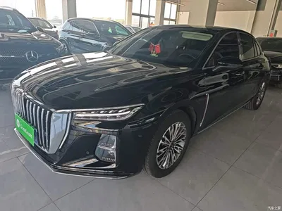 2025 Hongqi H5 1.5T DCT Flag Rhythm 500,000 Units Memorial Edition, фото 1, лот 10416422