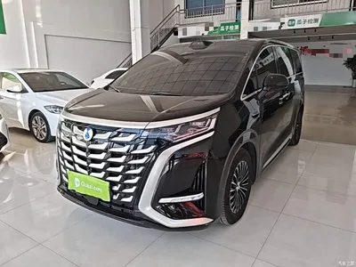 2025 Denza D9 DM-i Smart Drive Edition 1020 AWD Premium, фото 1, лот 11570683