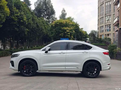 2020 Geely Xingyue High Energy Edition 350T Shining Star, фото 4, лот 10295264