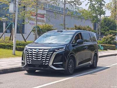 2025 Denza D9 DM-i Smart Drive Edition 1020 AWD Prestige, фото 1, лот 10350998