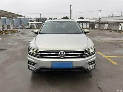 2017 Volkswagen Tiguan L 330TSI Automatic 2WD Flagship Edition, фото 3, лот 10463268