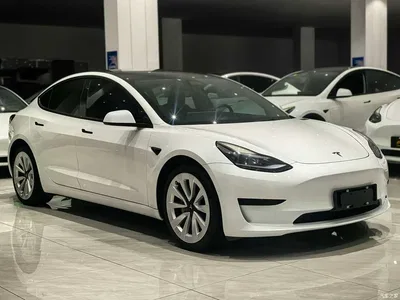 2022 Tesla Model 3 Model Rear-Wheel Drive Version, фото 3, лот 11568333
