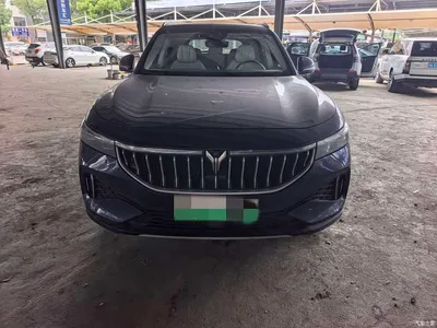 2021 Voyah Auto VOYAH FREE AWD Standard Range Extender Exclusive Luxury Package, фото 2, лот 11198886