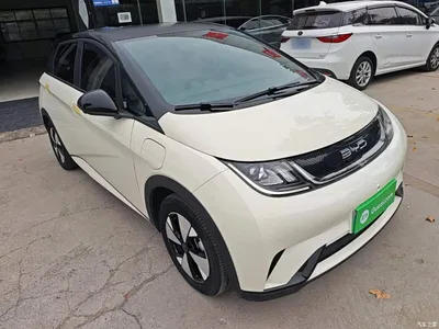 2023 BYD Dolphin 420km Freedom Edition, фото 4, лот 10260283