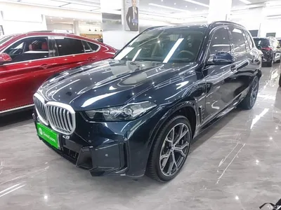 2023 BMW X5 xDrive 30Li Premium M Sport Black Night Package, фото 2, лот 11386203