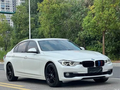 2019 BMW 3 Series 320Li Fashion Type, фото 3, лот 10575941