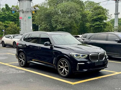 2022 BMW X5 Facelift xDrive 40Li M Sport Package, фото 4, лот 10405733