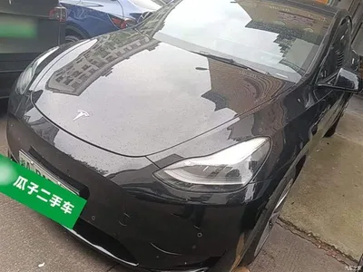 2022 Tesla Model Y Rear-Wheel Drive Version, фото 2, лот 10374412