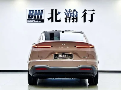 2024 Ledao L60 60kWh Rear-Wheel Drive, фото 4, лот 11568514