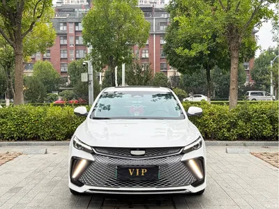 2022 Geely Emgrand L HiP 1.5TD-DHT Pro 100KM Super Rui, фото 2, лот 10956797
