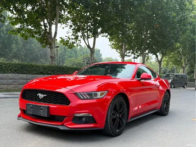 2015 Ford Mustang 2.3T Performance Edition, фото 1, лот 10887393