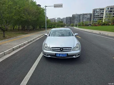 2009 Mercedes-Benz CLS 300, фото 1, лот 10299959