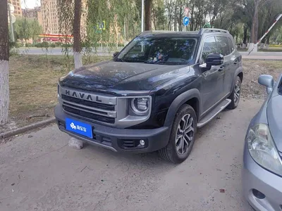 2024 Haval Big Dog 1.5T DCT Border Collie Edition, фото 1, лот 11204763