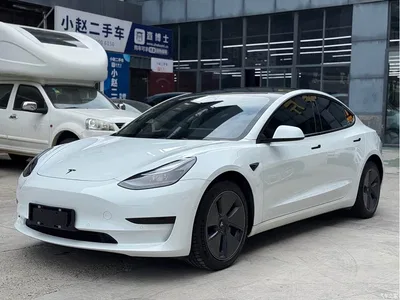 2022 Tesla Model 3 Model Rear-Wheel Drive Version, фото 1, лот 10399323