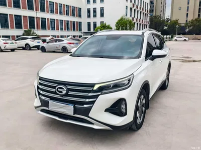 2020 GAC Trumpchi Trumpchi GS4 270T Automatic Smart Connect Tech Version, фото 1, лот 10392464