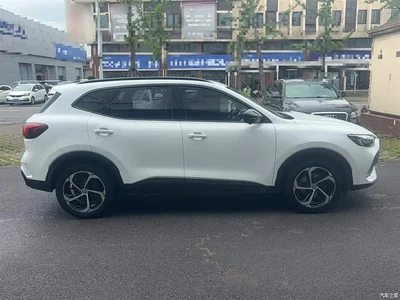 2021 MG Pilot 300TGI Automatic 2WD Trophy Premium Edition, фото 4, лот 10327796