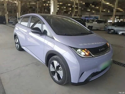 2023 BYD Dolphin 420km Fashion Edition, фото 4, лот 11089632