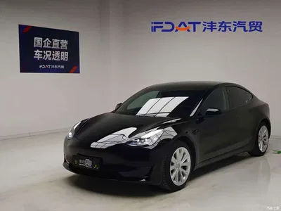 2021 Tesla Model 3 Standard Range Rear-Wheel Drive Upgrade 3D6, фото 1, лот 11088482