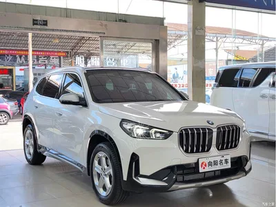 2023 BMW X1 sDrive20Li X Design Package, фото 3, лот 10465059