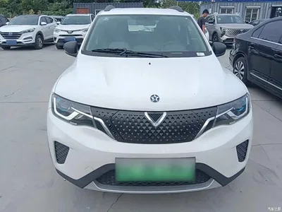 2021 Venucia e30 Elite Edition, фото 3, лот 11169597