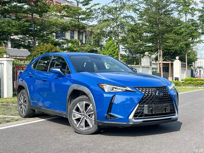 2020 Lexus UX Electric 300e Pure Yue Edition, фото 3, лот 10312089