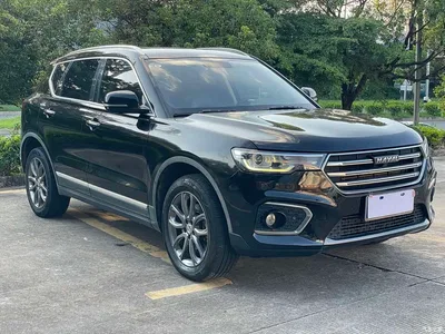 2019 Haval H7 2.0T YueXiang (China VI), фото 3, лот 10301363