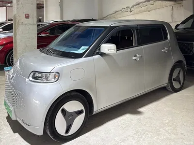 2020 Ora White Cat 360km Luxury Model, фото 1, лот 11199225