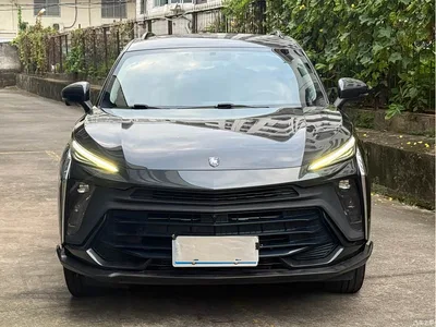 2024 Dongfeng Fengxing T5 EVO Racing Edition 1.5TD DCT Platinum, фото 2, лот 11146601