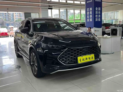 2022 BYD Tang New Energy DM-p 215KM AWD Flagship, фото 3, лот 10274307