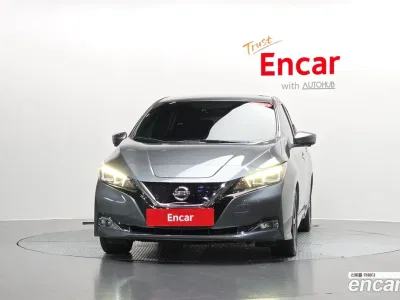 2019 Nissan Leaf EV SL, фото 2, лот 10119611