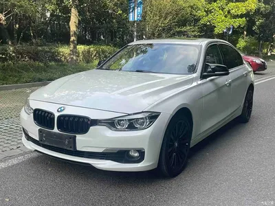 2018 BMW 3 Series 320Li Fashion Style, фото 1, лот 10845811