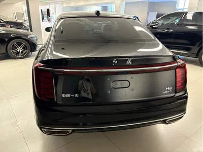 2025 Hongqi H9 2.0T 2WD Qixiang Luxury Business Edition 5-seater, фото 4, лот 10287491