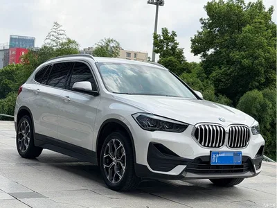 2021 BMW X1 sDrive25Li Leading, фото 3, лот 10466774