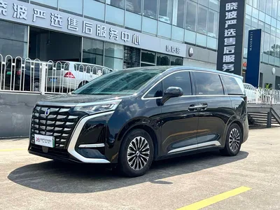 2024 Denza D9 PIONEER 4-Seater Pioneer Edition, фото 1, лот 10399580