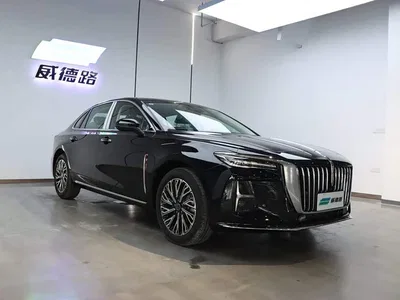 2025 Hongqi H5 2.0T Automatic Flag Celebration 500,000 Units Anniversary Edition, фото 3, лот 10288189
