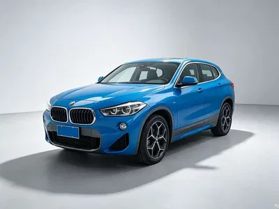 2019 BMW X2 (Import) sDrive20i M Off-Road Package China VI, фото 2, лот 10475582