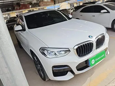 2020 BMW X4 xDrive30i M Sport Package, фото 4, лот 10477091