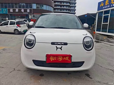 2025 Changan Qiyuan Changan Lumin 205km Fragrant Infusion Edition, фото 2, лот 10406778