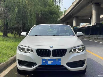 2019 BMW 2 Series (Import) 225i Convertible Coupe Sport Design Package, фото 2, лот 10579972