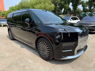 2024 ZEEKR 009 7-Seat Aisle Version 108kWh, фото 2, лот 10291051