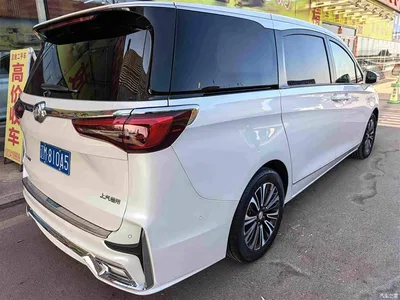 2020 Buick GL8 ES Landglory 653T Flagship, фото 4, лот 10252484