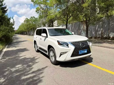 2020 Lexus GX 460, фото 1, лот 10313685