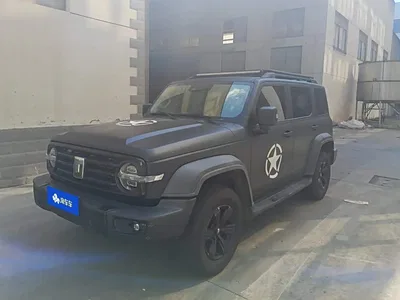 2021 Tank 300 Off-road Version 2.0T Conqueror, фото 1, лот 10450166