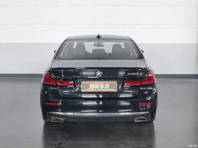 2022 BMW 5 Series New Energy 535Le Luxury Package, фото 4, лот 10474172
