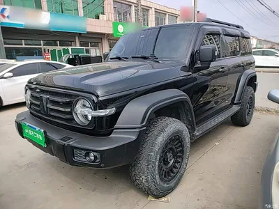 2023 Tank 300 Off-Road Edition 2.0T Conqueror, фото 2, лот 10345324