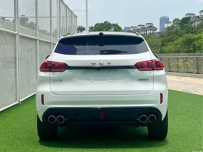 2017 WEY VV5 2.0T Flagship Model, фото 4, лот 10452023